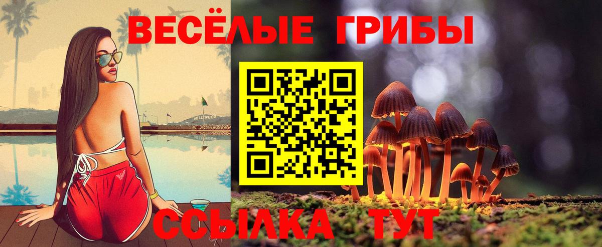 Нижний Тагил  Псилоцибиновые грибы ЛСД  Вход с VPN 